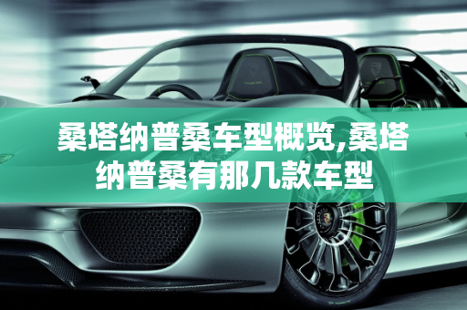 桑塔纳普桑车型概览,桑塔纳普桑有那几款车型