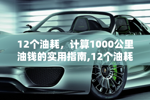 12个油耗，计算1000公里油钱的实用指南,12个油耗，1000公里多少油钱