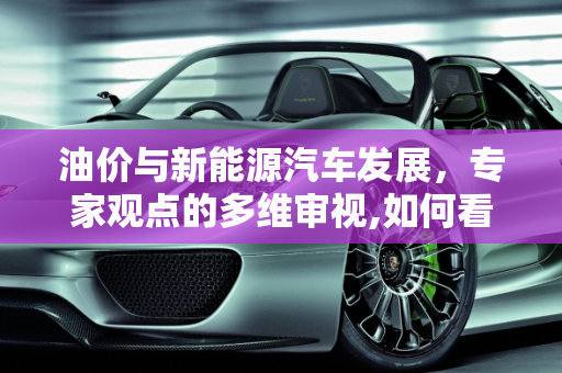 油价与新能源汽车发展，专家观点的多维审视,如何看待专家说油价太低，会影响新能源汽车发展的言论