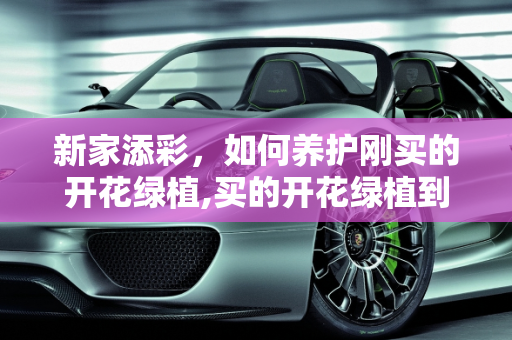 新家添彩，如何养护刚买的开花绿植,买的开花绿植到家之后怎样养护