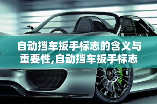 自动挡车扳手标志的含义与重要性,自动挡车扳手标志是啥