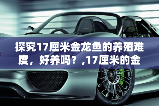探究17厘米金龙鱼的养殖难度，好养吗？,17厘米的金龙好养吗