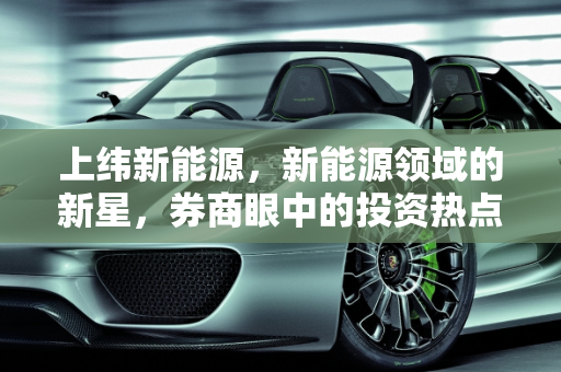 上纬新能源，新能源领域的新星，券商眼中的投资热点,上纬新能源真的假的，新能源券商