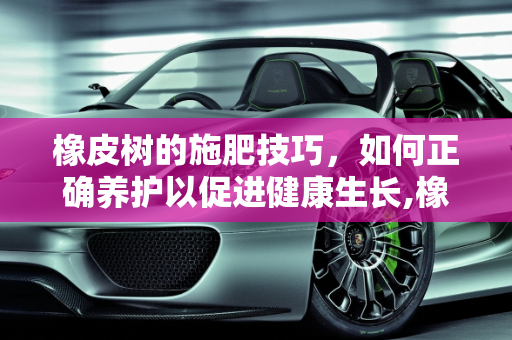 橡皮树的施肥技巧，如何正确养护以促进健康生长,橡皮树怎么施肥