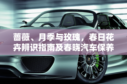 蔷薇、月季与玫瑰，春日花卉辨识指南及春晓汽车保养秘籍,总结蔷薇，月季和玫瑰的区别，春晓汽车保养