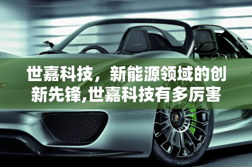 世嘉科技，新能源领域的创新先锋,世嘉科技有多厉害，世嘉新能源