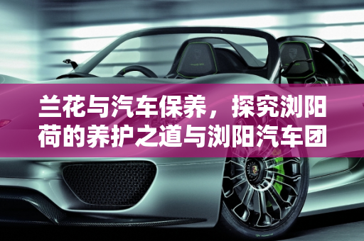 兰花与汽车保养，探究浏阳荷的养护之道与浏阳汽车团购的实惠之选,兰花浏阳荷好养吗，汽车保养团购浏阳
