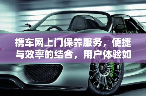 携车网上门保养服务，便捷与效率的结合，用户体验如何？,携车网的上门保养有用的吗?感觉好用吗