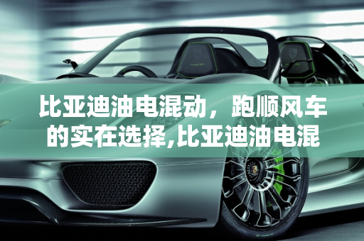 比亚迪油电混动，跑顺风车的实在选择,比亚迪油电混动跑顺风车哪款车型实在，比亚迪新款混动车型