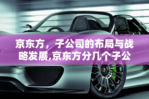 京东方，子公司的布局与战略发展,京东方分几个子公司