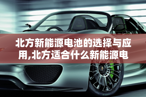 北方新能源电池的选择与应用,北方适合什么新能源电池，北方新能源