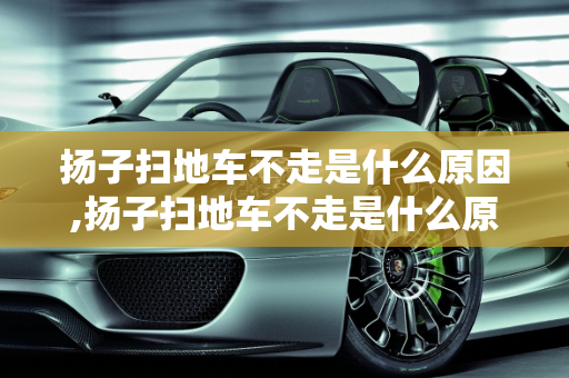 扬子扫地车不走是什么原因,扬子扫地车不走是什么原因