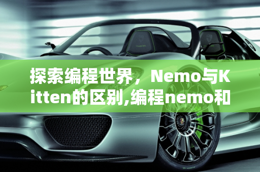 dataweek 第510页