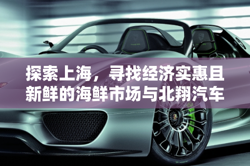 探索上海，寻找经济实惠且新鲜的海鲜市场与北翔汽车的实惠报价,上海哪里的海鲜便宜又好，北翔汽车报价