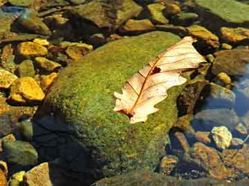 时光穿梭，2006年QQ的价值与2013年QQ3二手车市场分析,06年的QQ能卖多少，二手车13年的qq3